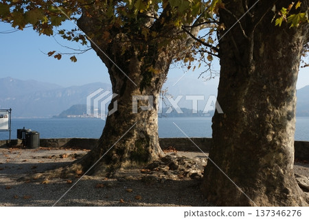 Epic Como lake view in November Epic Como lake view in November 137346276