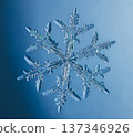 Natural snowflake crystal in blue background 137346926
