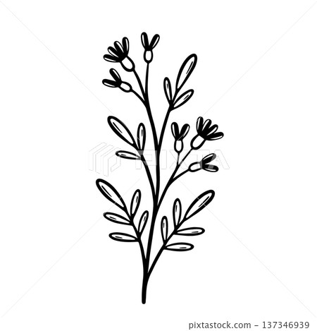 Branch of a plant with flowers and leaves. Hand drawn vector illustration isolated on white background. 137346939
