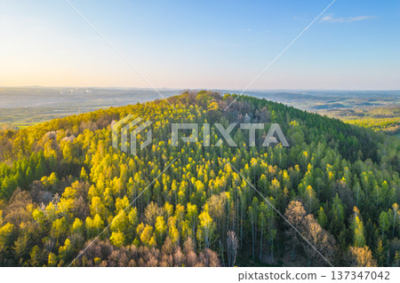 The view from above shows a landscape filled with green trees on a hill. The sun is low in the sky, and the distant land stretches far with different shades of green. 137347042