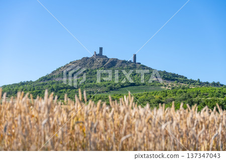 Hazmburk castle ruins stand majestically atop a hill in Czechia, surrounded by lush fields and trees. This medieval site offers a glimpse into the rich history of the Central Bohemian Uplands. Hazmburk castle ruins stand majestically atop a hill in Czechia, surrounded by lush fields and trees. This medieval site offers a glimpse into the rich history of the Central Bohemian Uplands. 137347043