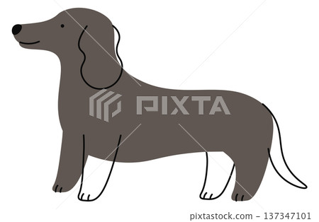 Dachshund hand drawn icon. Funny dog doodle Dachshund hand drawn icon. Funny dog doodle 137347101