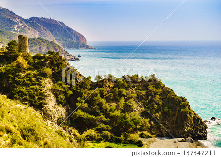 Spanish coast with Pine Tower, Andalusia. 137347211