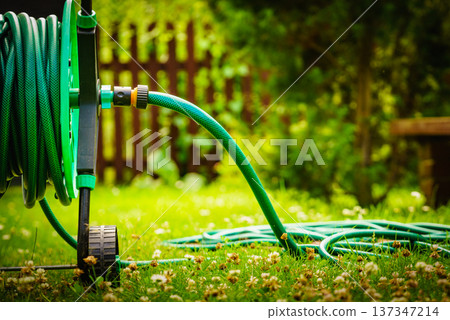 Garden hose for watering plants in garden Garden hose for watering plants in garden 137347214
