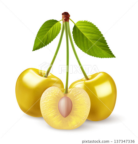 Cherry berry 137347336