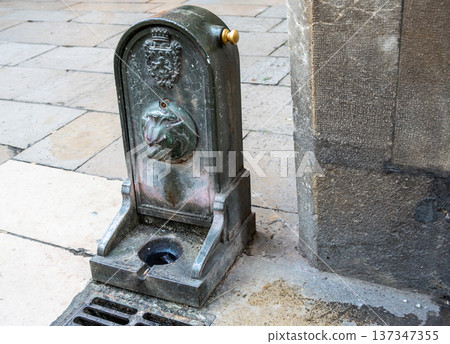 Lyon, france. December 27, 2023. Old cast-iron lion-head drinking fountain with royal crest and green patina on cobblestone street, historic european detail 137347355