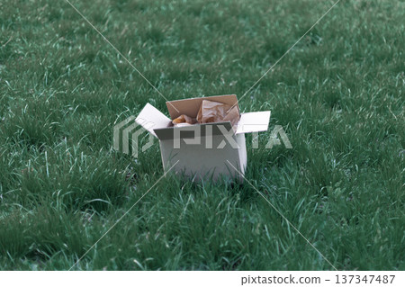 Open cardboard box with natural kraft paper filler placed on fresh green grass. Eco packaging concept and sustainable shipping background. Open cardboard box with natural kraft paper filler placed on fresh green grass. Eco packaging concept and sustainable shipping background. 137347487