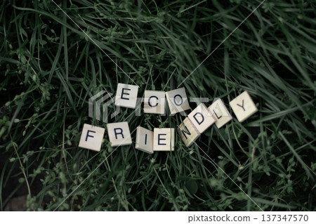 Eco friendly phrase made from wooden boards placed on fresh grass outdoors. Sustainable lifestyle concept Eco friendly phrase made from wooden boards placed on fresh grass outdoors. Sustainable lifestyle concept 137347570