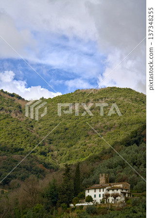 Quiet Luxurious Retreat. Relaxing Residence Amid Lush Green Surroundings Quiet Luxurious Retreat. Relaxing Residence Amid Lush Green Surroundings 137348255