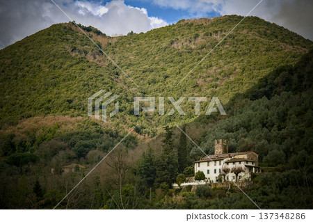 Quiet Luxurious Retreat. Relaxing Residence Amid Lush Green Surroundings 137348286