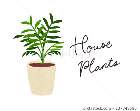 室內植物和盆栽棕櫚樹 - 水彩手繪插圖 室內植物和盆栽棕櫚樹 - 水彩手繪插圖 137348586