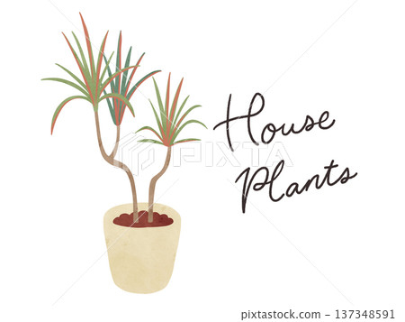 室內植物與彩虹龍血樹盆栽,水彩手繪插圖 室內植物與彩虹龍血樹盆栽,水彩手繪插圖 137348591
