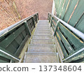 Outdoor metal staircase leading down forest path 137348604