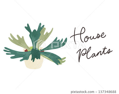 Houseplants and potted staghorn ferns - watercolor hand-drawn illustration 137348688