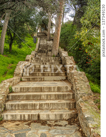 Stone Staircase Through Lush Park With Trees and Greenery Leading Up a Scenic Pathway Stone Staircase Through Lush Park With Trees and Greenery Leading Up a Scenic Pathway 137349130