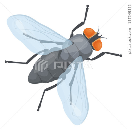 Housefly top view. Flying insect. Fauna icon 137349353