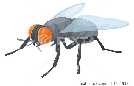 Wildlife insect animal. Realistic house fly icon 137349354