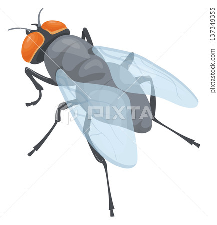 Realistic housefly icon. Creepy creature cartoon mascot Realistic housefly icon. Creepy creature cartoon mascot 137349355