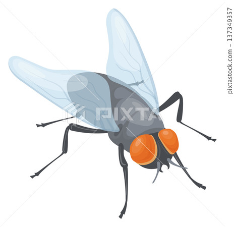 Domestic fly icon. Winged insect. House pest Domestic fly icon. Winged insect. House pest 137349357