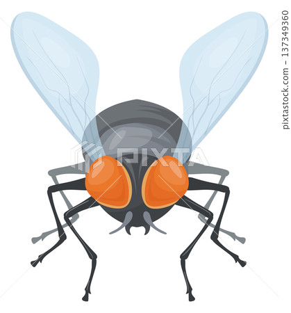 Pest realistic icon. House fly front view Pest realistic icon. House fly front view 137349360