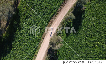 Countryside Path Through Natural Landscape Countryside Path Through Natural Landscape 137349430
