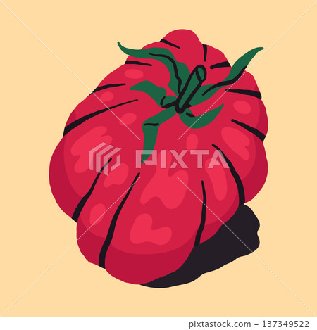 Hand drawn beefsteak tomato. Ripe fleshy tomatoe, juicy vegetable flat vector isolated illustration. Whole heirloom ribbed beefsteak tomato Hand drawn beefsteak tomato. Ripe fleshy tomatoe, juicy vegetable flat vector isolated illustration. Whole heirloom ribbed beefsteak tomato 137349522