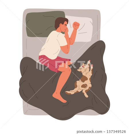 Sleeping man. Male character resting in bed with cute cat, guy and his pet relaxing in cozy bed flat vector illustration. Cartoon sleeping person on white Sleeping man. Male character resting in bed with cute cat, guy and his pet relaxing in cozy bed flat vector illustration. Cartoon sleeping person on white 137349526