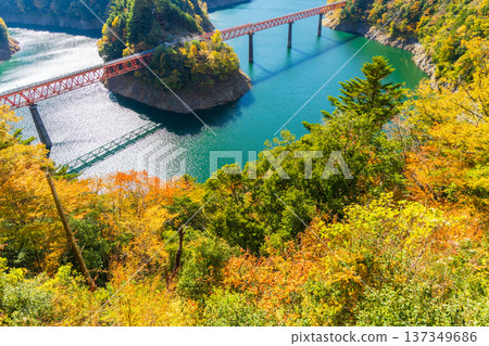 秋日大井川鐵道井川線:奧尾井城站的秋葉美景 秋日大井川鐵道井川線:奧尾井城站的秋葉美景 137349686