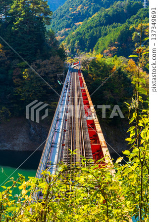 Oigawa Railway Ikawa Line in autumn - Okuoi Rainbow Bridge with autumn leaves Oigawa Railway Ikawa Line in autumn - Okuoi Rainbow Bridge with autumn leaves 137349691