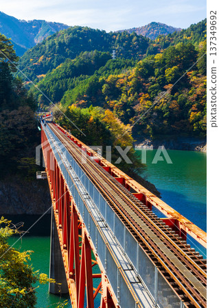 秋季的大井川鐵道伊川線－奧尾彩虹橋，秋葉映照下格外迷人。 137349692