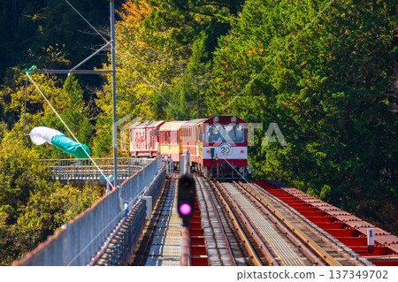 秋天的大井川鐵道井川線奧大伊河條站 137349702