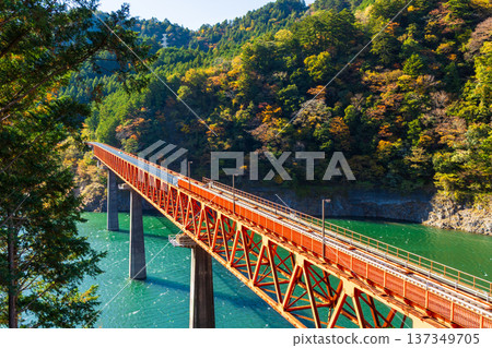 秋季的大井川鐵道伊川線－奧尾彩虹橋，秋葉映照下格外迷人。 137349705