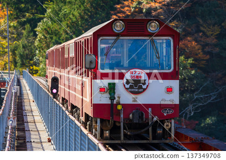Oigawa Railway Ikawa Line Okuoikojo Station in autumn Oigawa Railway Ikawa Line Okuoikojo Station in autumn 137349708