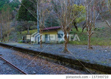 Omori Station on the Oigawa Railway Ikawa Line in autumn Omori Station on the Oigawa Railway Ikawa Line in autumn 137349710