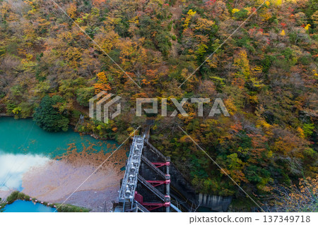 秋季大井川鐵道井川線,從車窗望出去的秋葉美景,奧泉水壩 秋季大井川鐵道井川線,從車窗望出去的秋葉美景,奧泉水壩 137349718