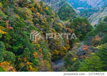 從大井川鐵道井川線列車車窗望出去的秋日景色 從大井川鐵道井川線列車車窗望出去的秋日景色 137349720