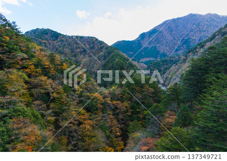 從大井川鐵道井川線列車車窗望出去的秋日景色 137349721