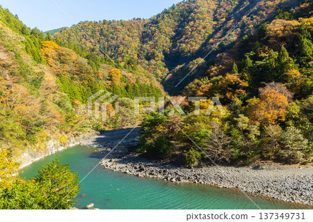 從大井川鐵道井川線列車車窗望出去的秋日景色 從大井川鐵道井川線列車車窗望出去的秋日景色 137349731