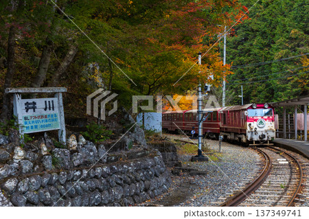 Autumn on the Oigawa Railway Ikawa Line: Ikawa Station with autumn leaves Autumn on the Oigawa Railway Ikawa Line: Ikawa Station with autumn leaves 137349741