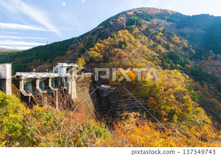 靜岡縣奧久井的秋天-井川湖(井川水壩)的秋葉 靜岡縣奧久井的秋天-井川湖(井川水壩)的秋葉 137349743
