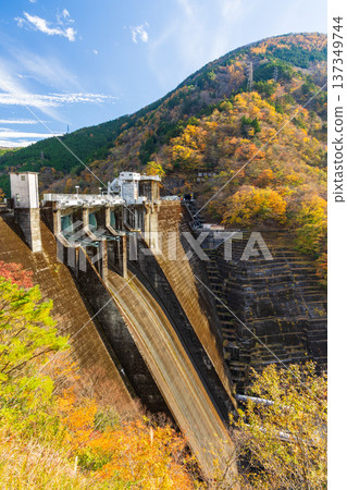 Autumn in Okuoi, Shizuoka Prefecture - Autumn leaves at Lake Ikawa (Ikawa Dam) 137349744