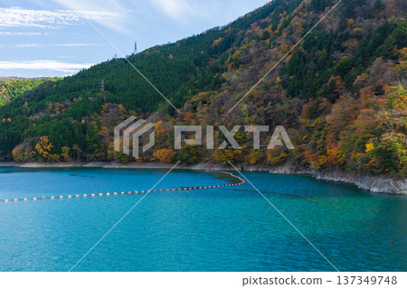 Autumn in Okuoi, Shizuoka Prefecture - Autumn leaves at Lake Ikawa (Ikawa Dam) Autumn in Okuoi, Shizuoka Prefecture - Autumn leaves at Lake Ikawa (Ikawa Dam) 137349748