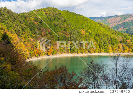 靜岡縣奧久井的秋天-井川湖(井川水壩)的秋葉 靜岡縣奧久井的秋天-井川湖(井川水壩)的秋葉 137349760