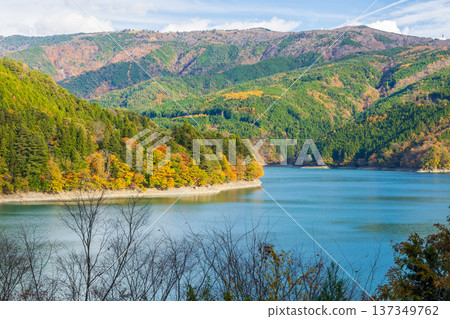 Autumn in Okuoi, Shizuoka Prefecture - Autumn leaves at Lake Ikawa (Ikawa Dam) 137349762