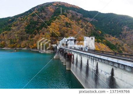Autumn in Okuoi, Shizuoka Prefecture - Autumn leaves at Lake Ikawa (Ikawa Dam) 137349766