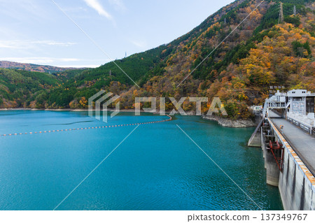 Autumn in Okuoi, Shizuoka Prefecture - Autumn leaves at Lake Ikawa (Ikawa Dam) 137349767