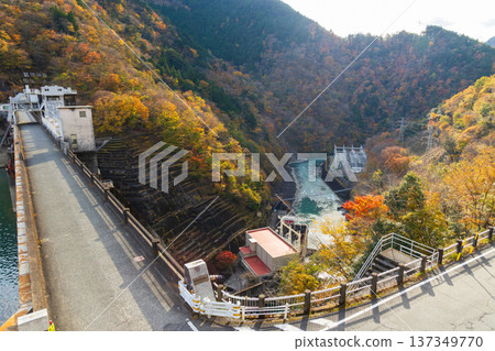 靜岡縣奧久井的秋天-井川湖(井川水壩)的秋葉 靜岡縣奧久井的秋天-井川湖(井川水壩)的秋葉 137349770