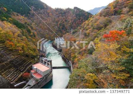 靜岡縣奧久井的秋天-井川湖(井川水壩)的秋葉 靜岡縣奧久井的秋天-井川湖(井川水壩)的秋葉 137349771