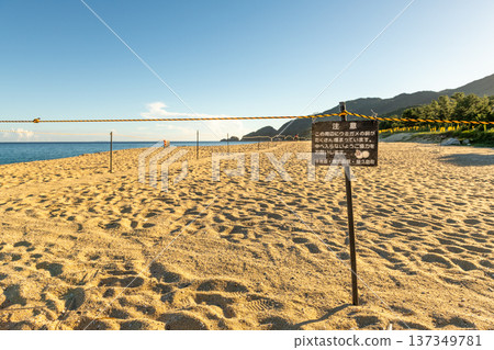 Nagata Inakahama: Yakushima's largest sea turtle nesting site (summer) 137349781