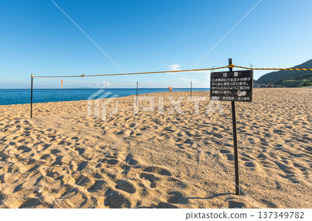 Nagata Inakahama: Yakushima's largest sea turtle nesting site (summer) 137349782